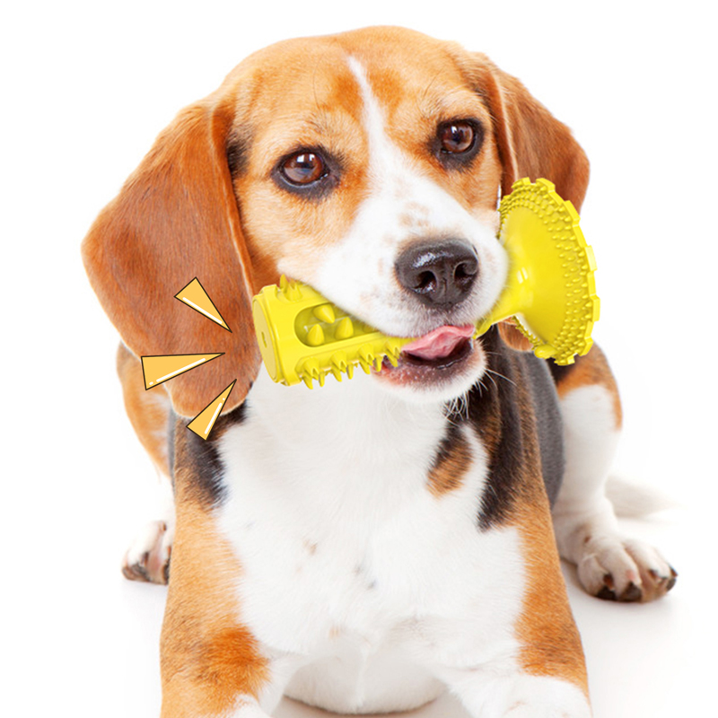 Sucker Squeaky Dental Care Pet Toothbrush Aggressive Chew Rubber Designer Dog Toys