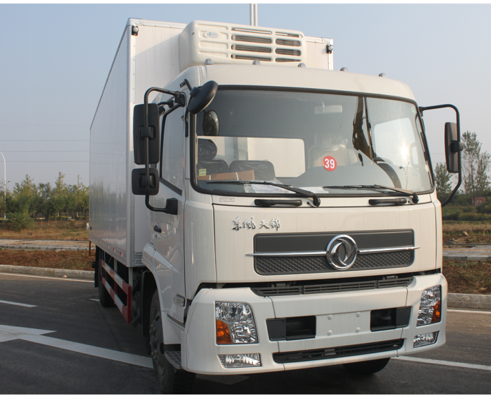 Factory supply Dongfeng 4x2 Refrigerator van Truck Mobile Freezer Reefer Van ice cold food transfer