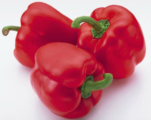 Bell Pepper Red Color Hybrid F1 Sweet Pepper Seeds for Planting