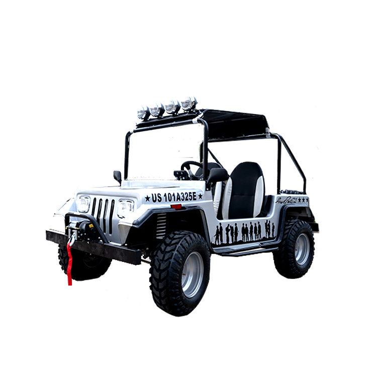 Бок о бок 4x4 Электрический джип utv