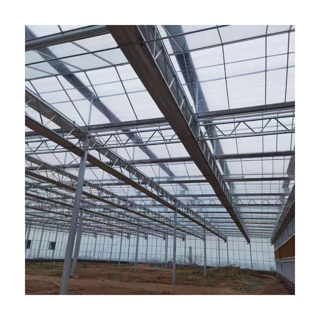 customized Hot galvanized steel intelligent Agricultural cultivation of flowers and breeding Glass Covered greenhouse for Sale
