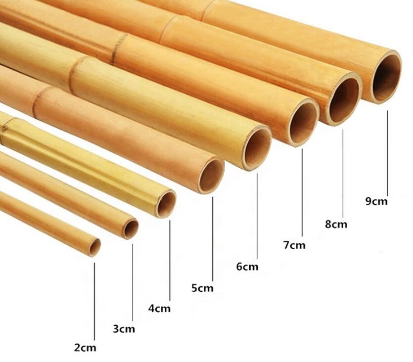 Raw Construction bamboo poles canes stakes Sticks for Orchard nursery