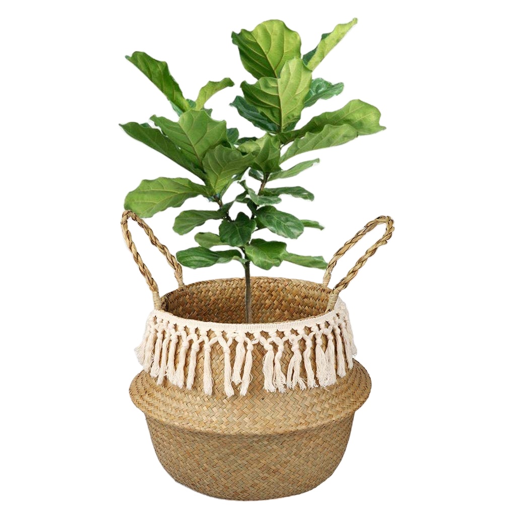 Large Woven Plant Baskets Seagrass Belly Planter Basket with Handles Plant Pot and Laundry Basket for Storage