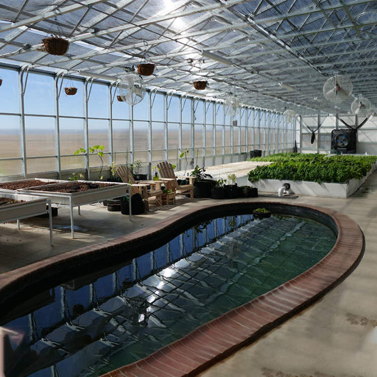 Low Cost Industrial Hydroponic Greenhouse Aquaponic System For Fish Farming