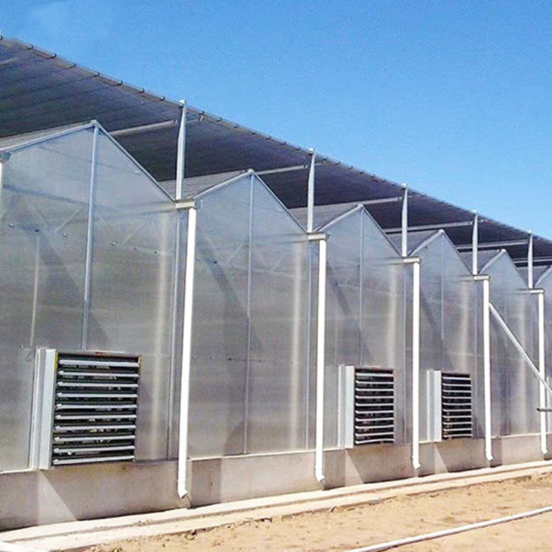 Commercial polycarbonate greenhouse multi-span greenhouse for vegetables and fruits