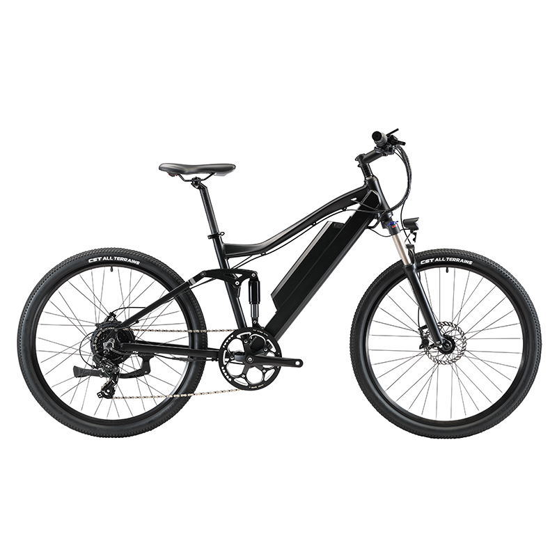 Customize mountain electric bicycle double suspension fork electric mountain bike