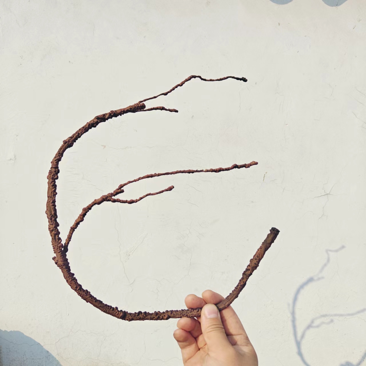 Simulation Tree Vine Branch Foam Rubber Tree Vine Chameleon Hermit Crab Eyelash Horn Palace Hunting Spider Climbing Object