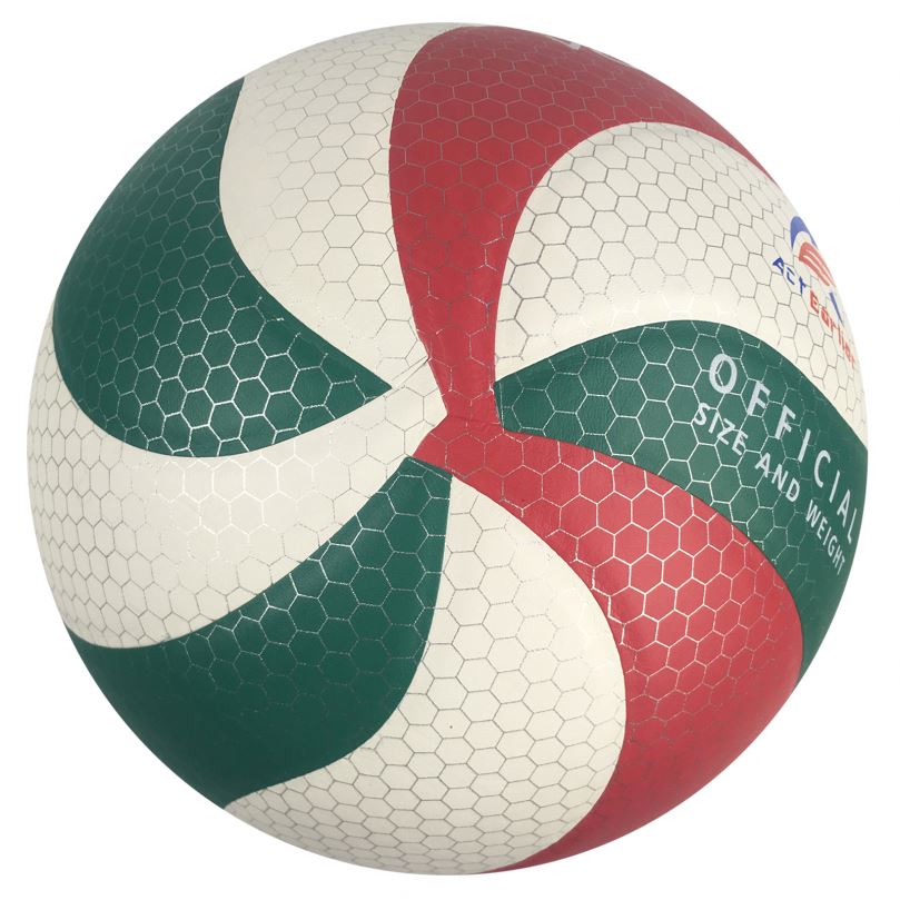 ActEarlier Outdoor Indoor Sports Beach Game Official Size 5 Volleyball
