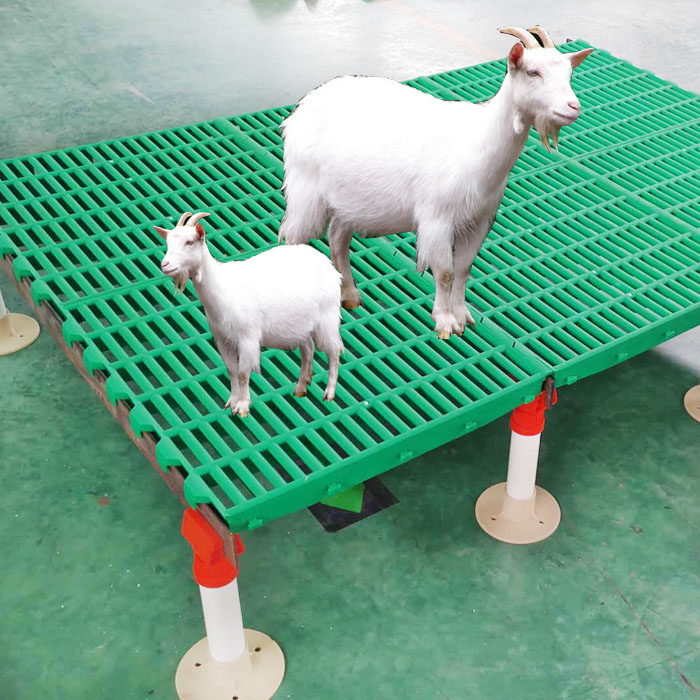 600*600 mm plastic slatted flooring for goat farming Goat house flooring mat for sale
