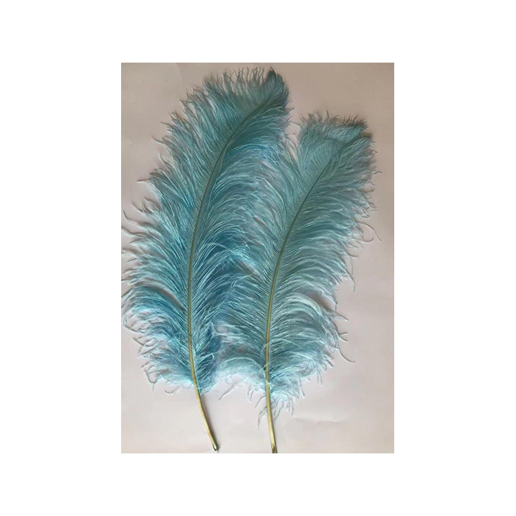 Hot sale prod carnival festival ostrich feather For Wedding and party Decoration