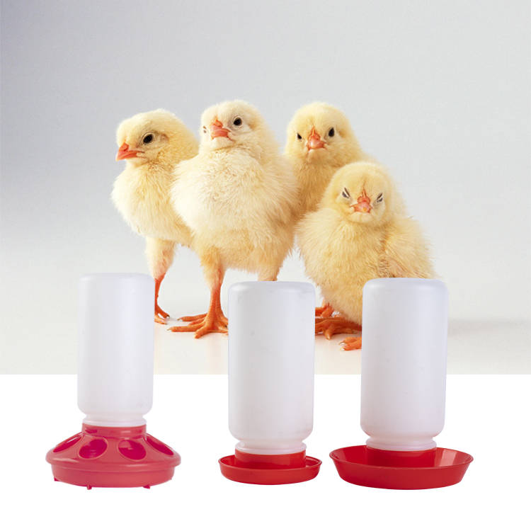 animal quail drinker automatic stock water animal poultry feeders and drinkers trays chicken feeder for farm
