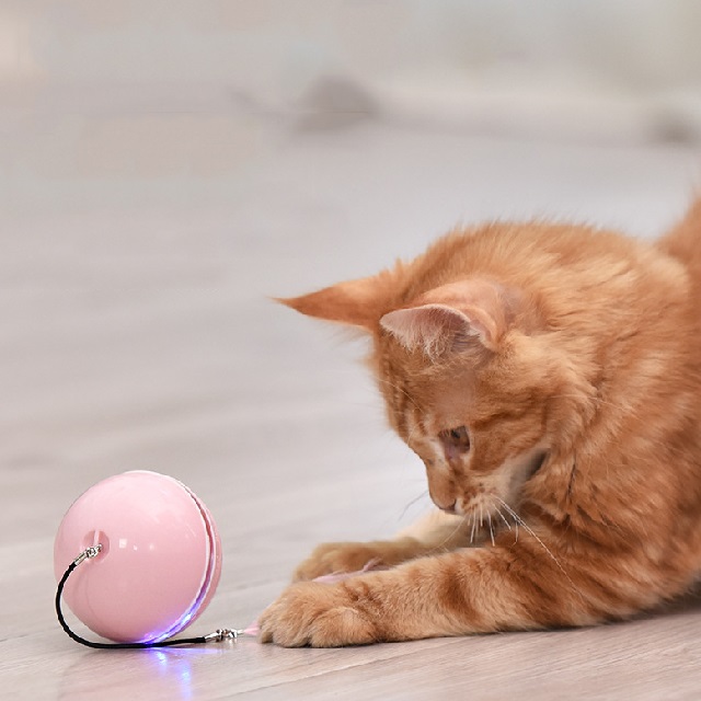 Игрушка для домашних животных Smart Start для домашних кошек, балансировочная машинка-качалка для кошек Hi Dog, самовращающаяся игрушка для кошек