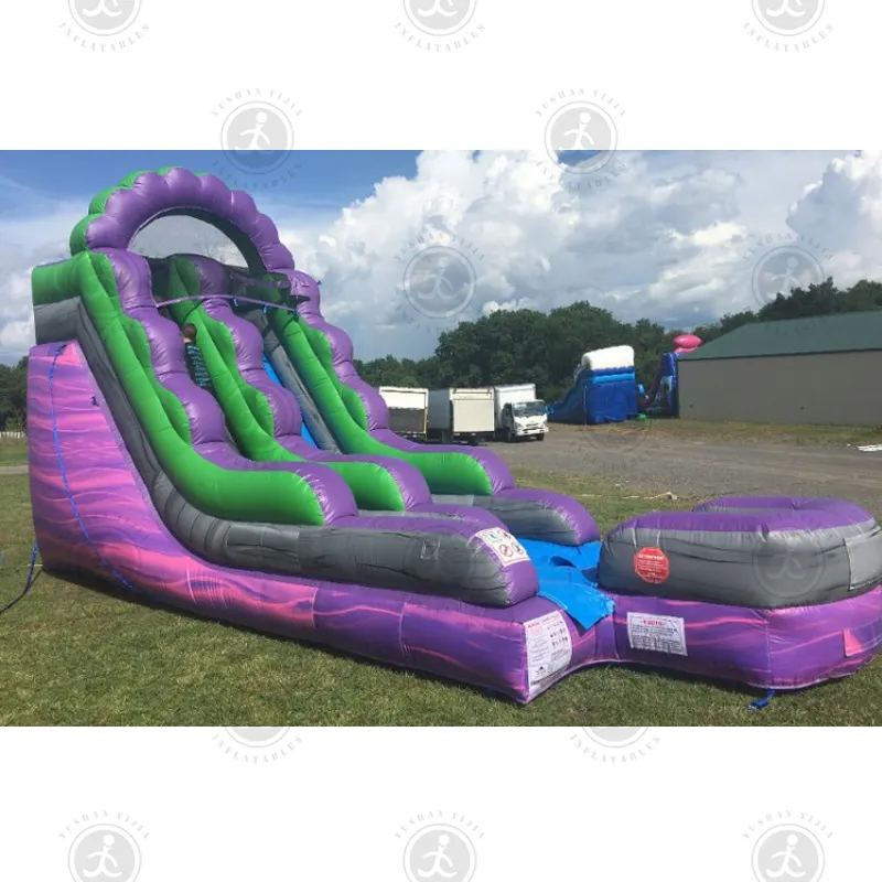 Custom Giant Cartoon Inflatable Water Slide For Sale