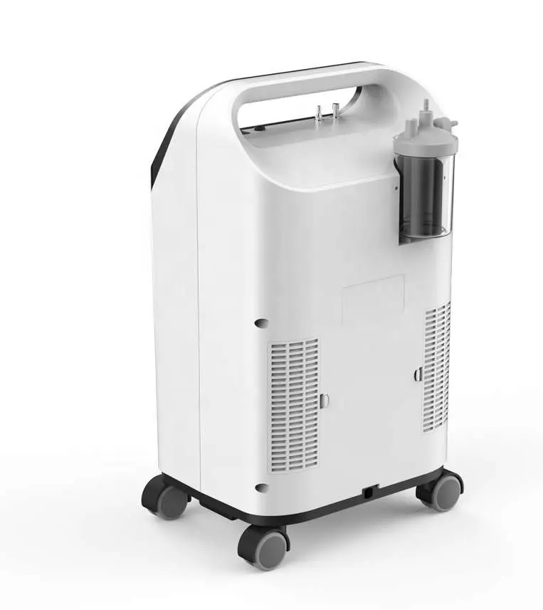 5 Liter Portable Oxygen Concentrator For Home Use