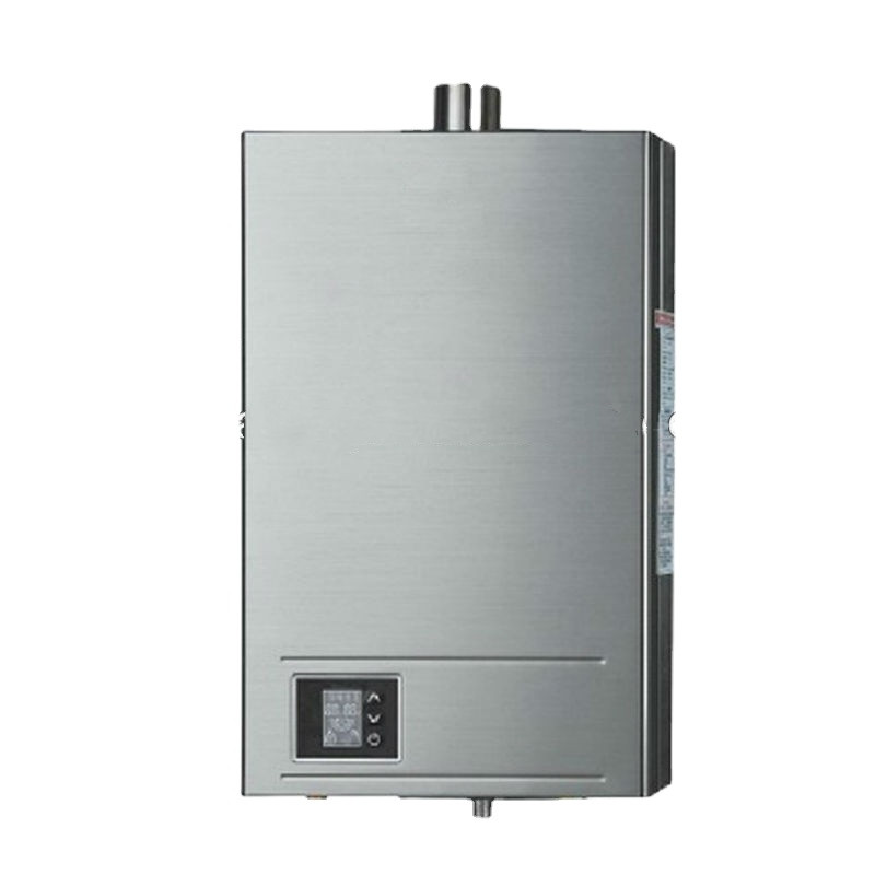 Modern design Instant gas water heaters factory hot sale double pipe style /cooper heat exchanger gas boiler calentador a gas