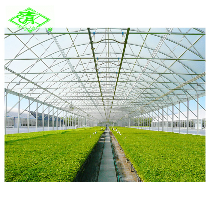 Анти-УФ Высокое качество ldpe чистый удар зеленый дом пленка HDPE пленка рулон