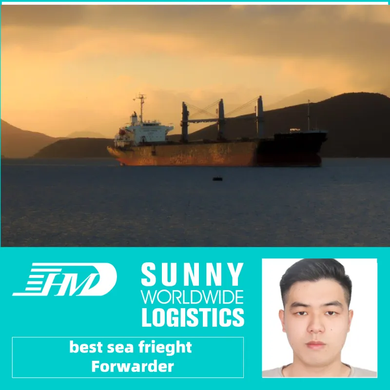 DDP Sea Freight With Custom Clearance Service From China to Concord USA