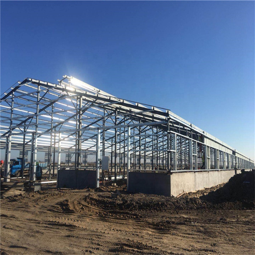 High Standard Low Price Steel Structure Building Large Span Industrial Factory Shed Workshop