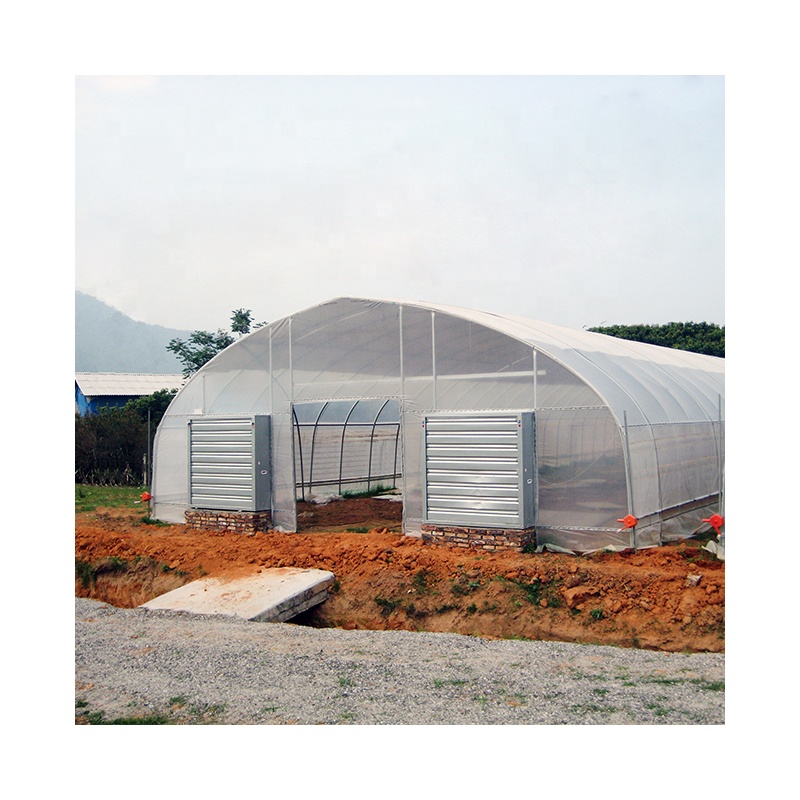 Пластиковая пленка для теплицы AGROTIME 150 микрон, теплица для томатного обруча, одиночная туннельная теплица для гидропоники