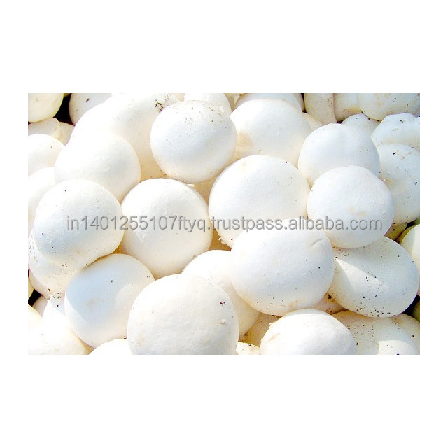 Кнопка IQF, гриб Agaricus bisporus, оптовая продажа, крупные овощи, поставка от производителя, натуральный