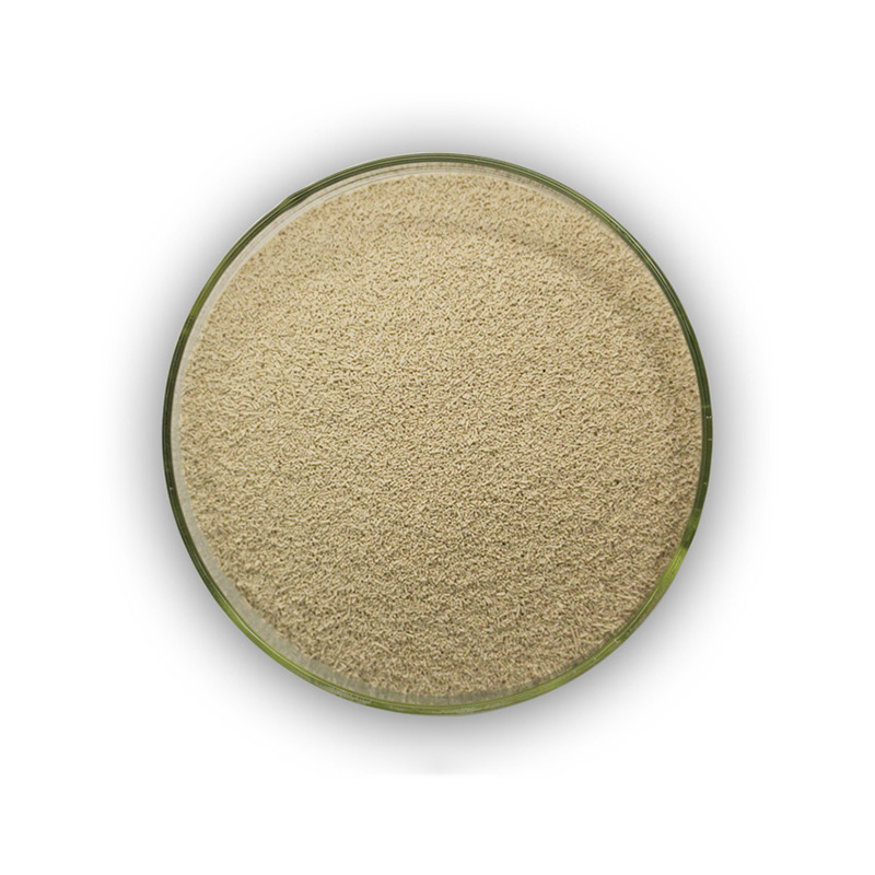 China Suppliers Brewer Yeast Saccharomyces Cerevisiae with Free Sample