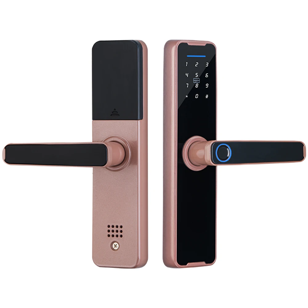 Biometric fingerprint smart lock door tuya keyless electronics door lock for houses