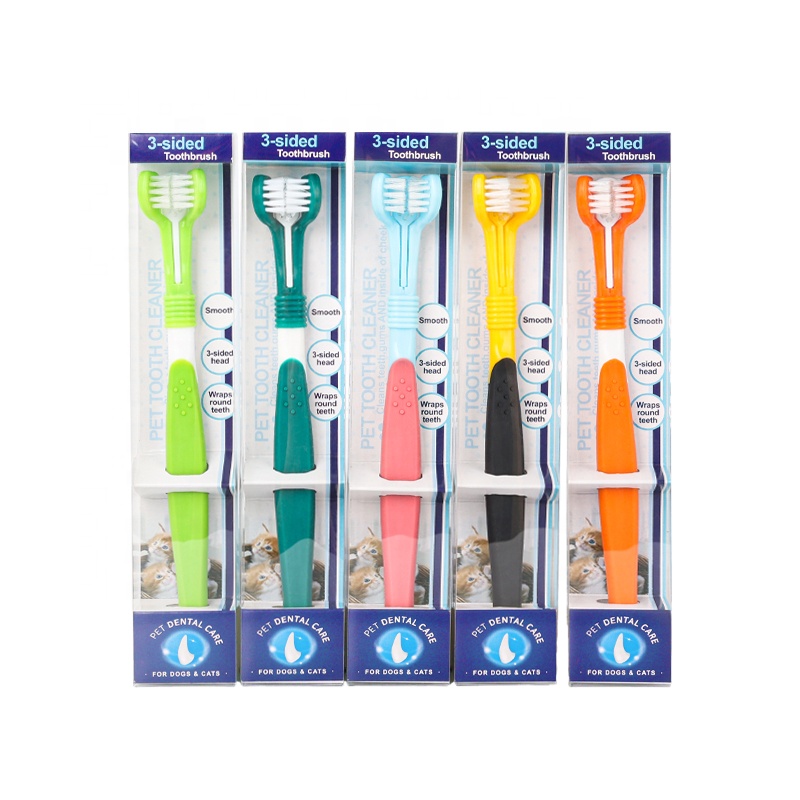 Factory Wholesale PVC Box Packaging Three Heads Dog Toothbrush Cat Pet Dog Toothbrush
