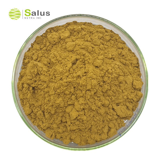 Лучшая цена Gymnema Sylvestre порошок
