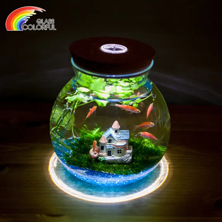 Glass Fish Bowl Home Decor Clear Glass Bowl Fish Tank With Light