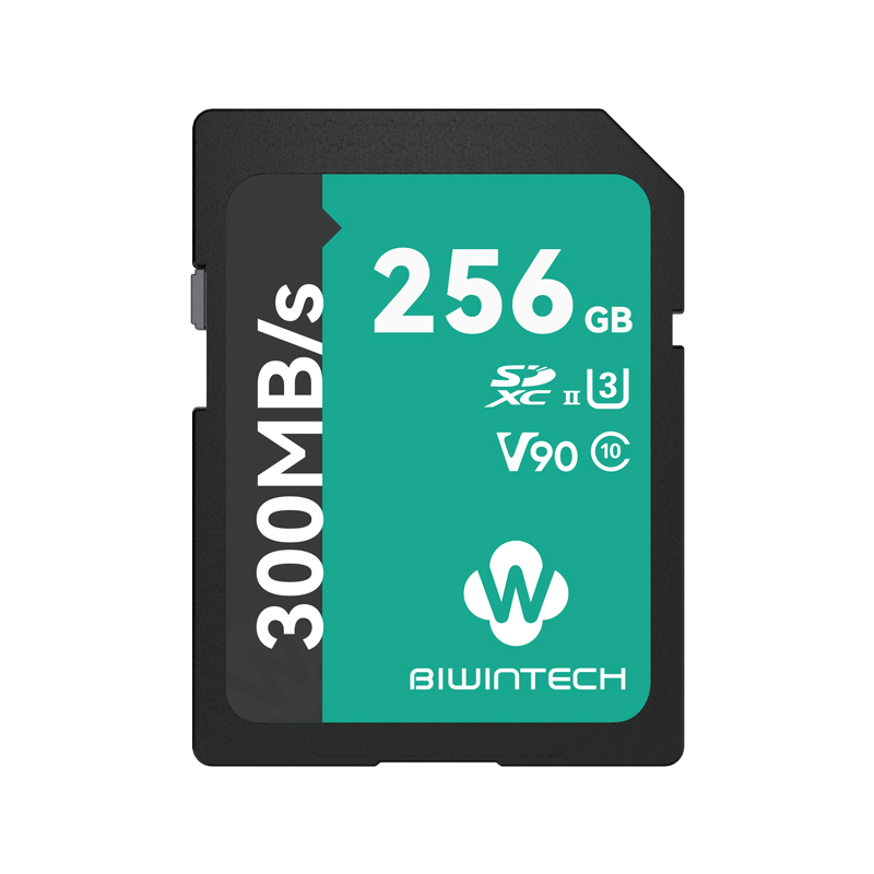 Biwintech Оригинальный OEM SD слот для карт памяти UHS-II SDXC 64 Гб 128 ГБ 256 ГБ флэш-памяти sercutiry цифровая карта памяти для камеры