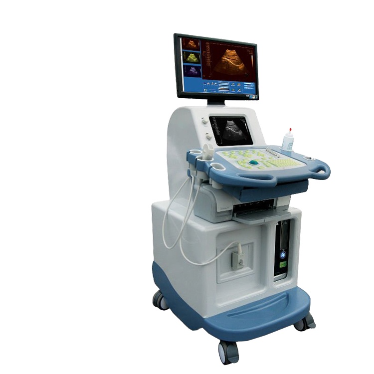 THR-US8800 Профессиональный 3D ультразвуковой сканер