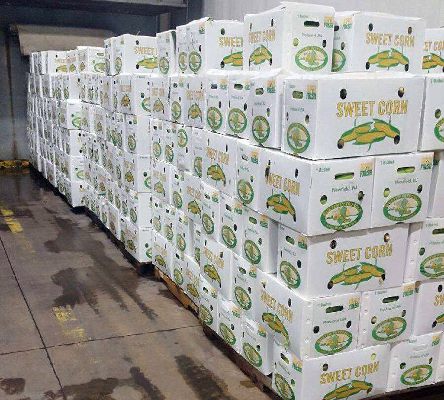 Factory Price Corn Container And Broccoli Box Vegetables Boxes And Vegetables Plastic Packaging Box And Caja De Plastico