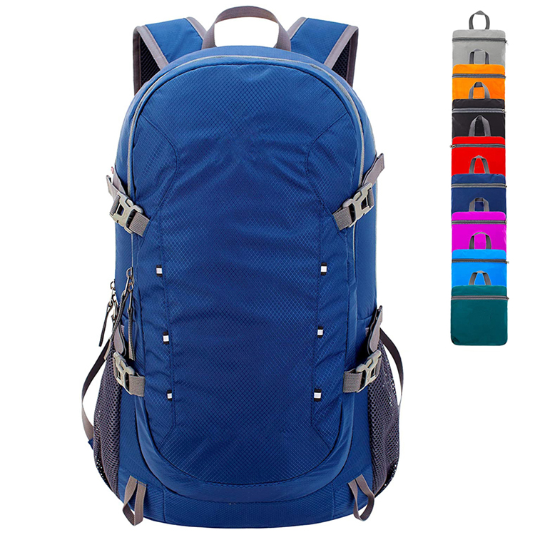 2021 Amazon Top Selling Custom Logo Light Weight Bag Travel Foldable Nylon Waterproof Backpack For Hiking Camping Sport Backpack