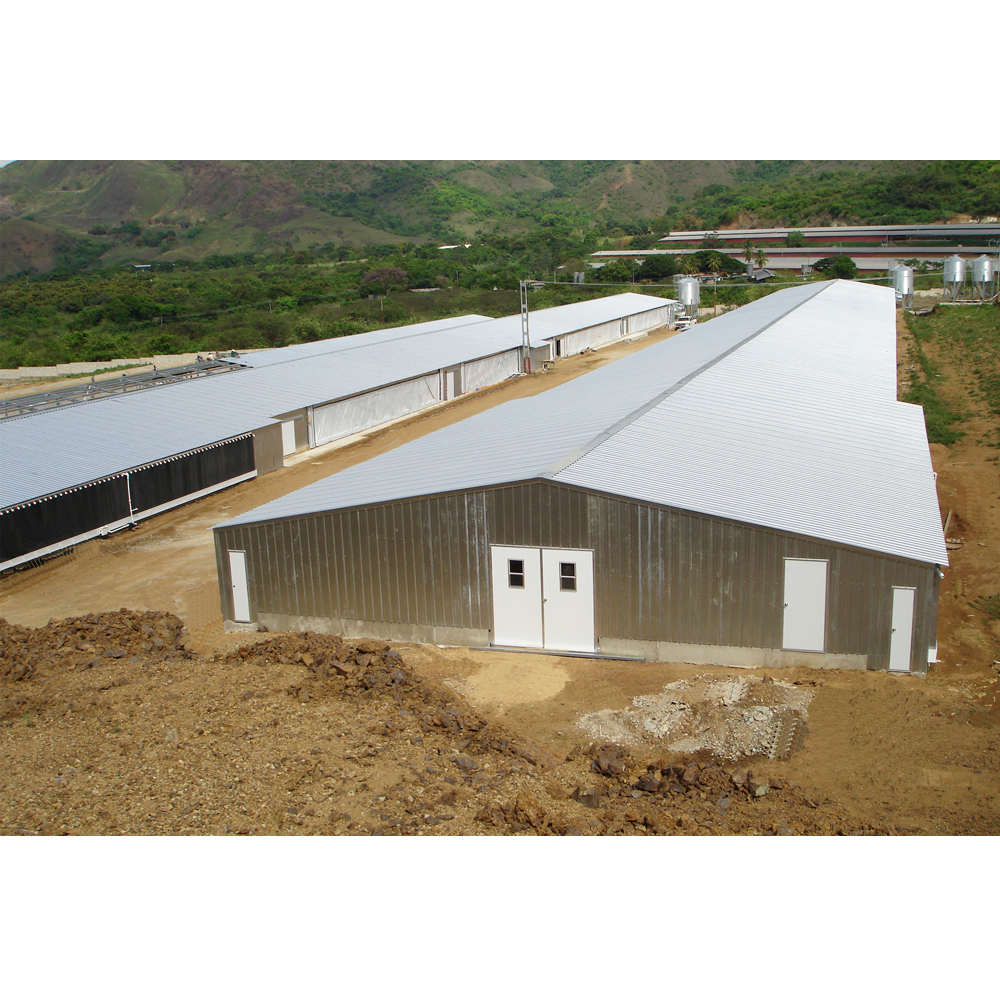 Batiment de ferme de poulet/ангар для Кокора