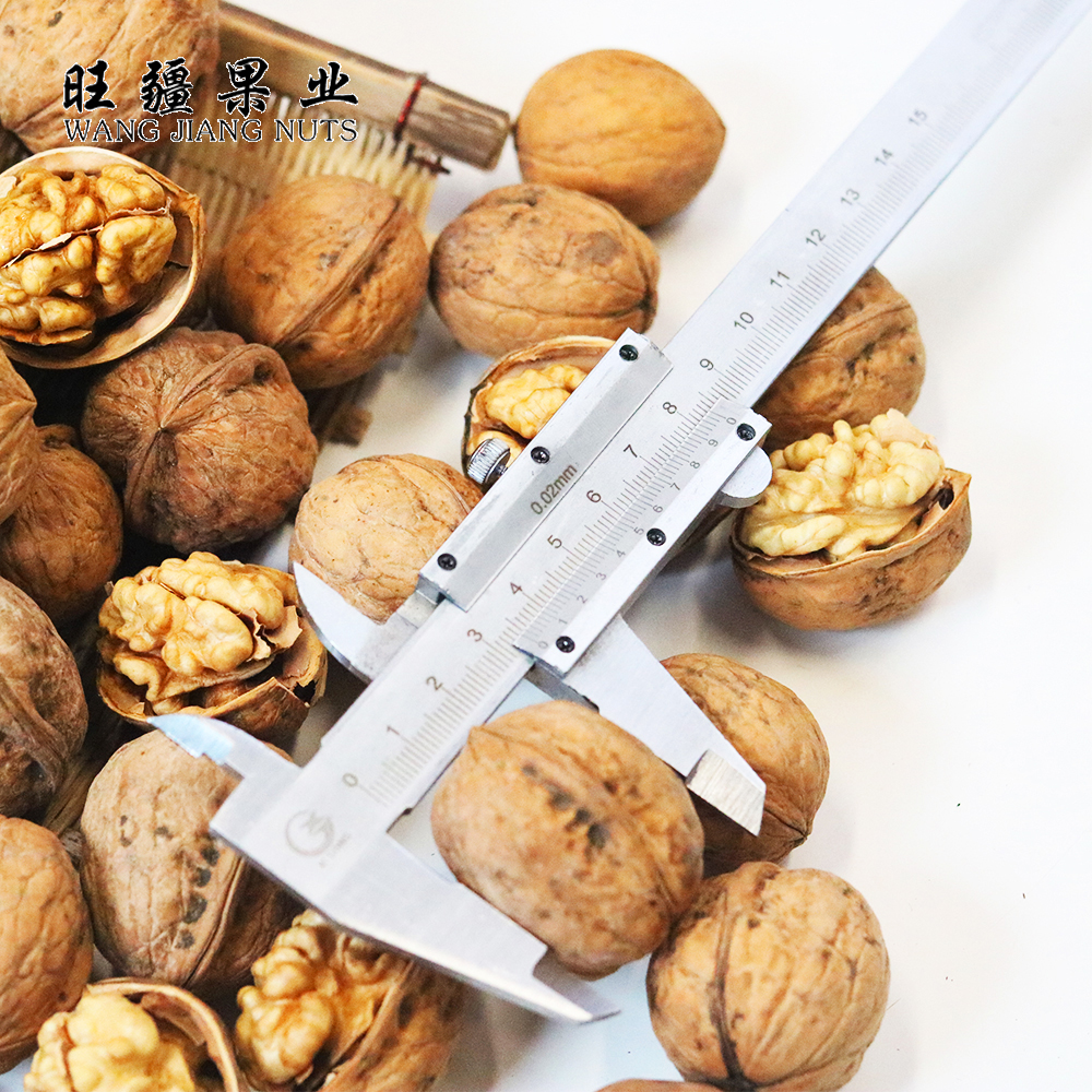 Оптовая цена, сушеные фрукты, Неочищенные, xingjiang, светлый цвет, сырой орех 185 В Ракушке