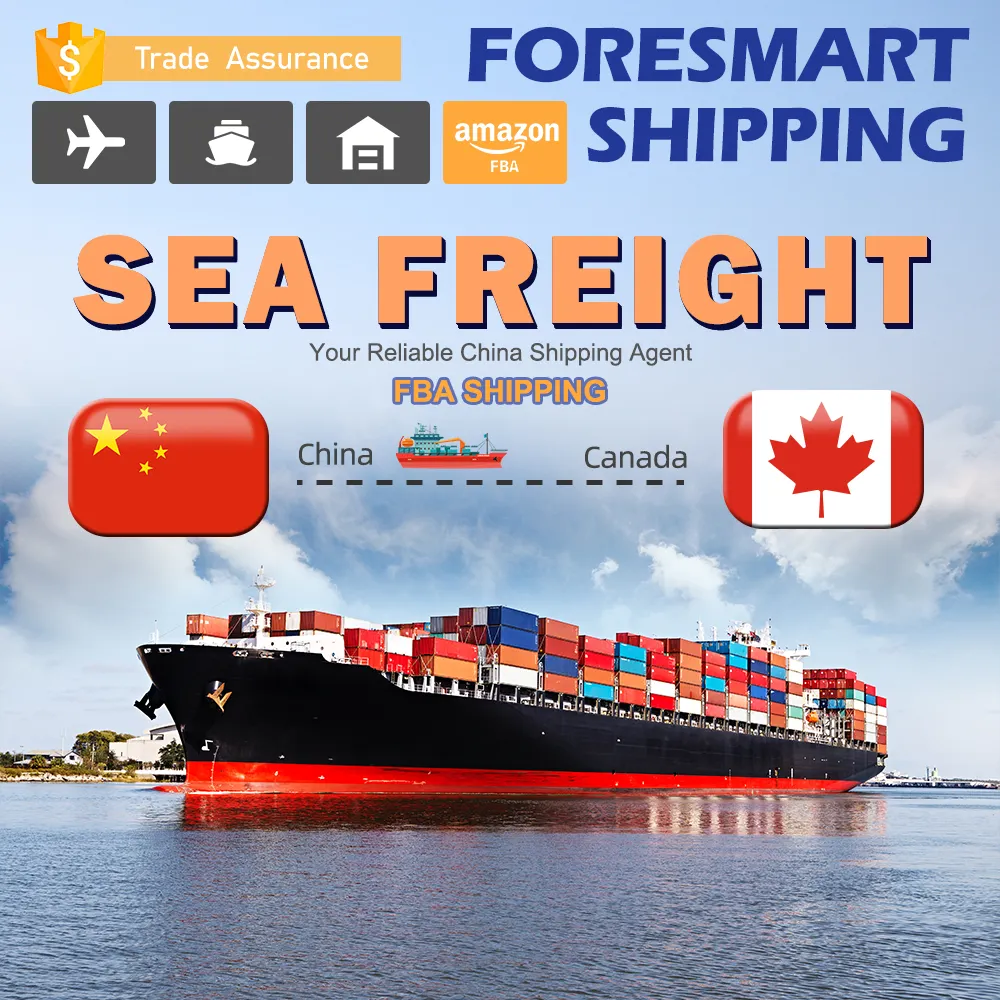 International china to canada lcl fcl ocean sea freight forwarder amazon fba shipping cargo rates
