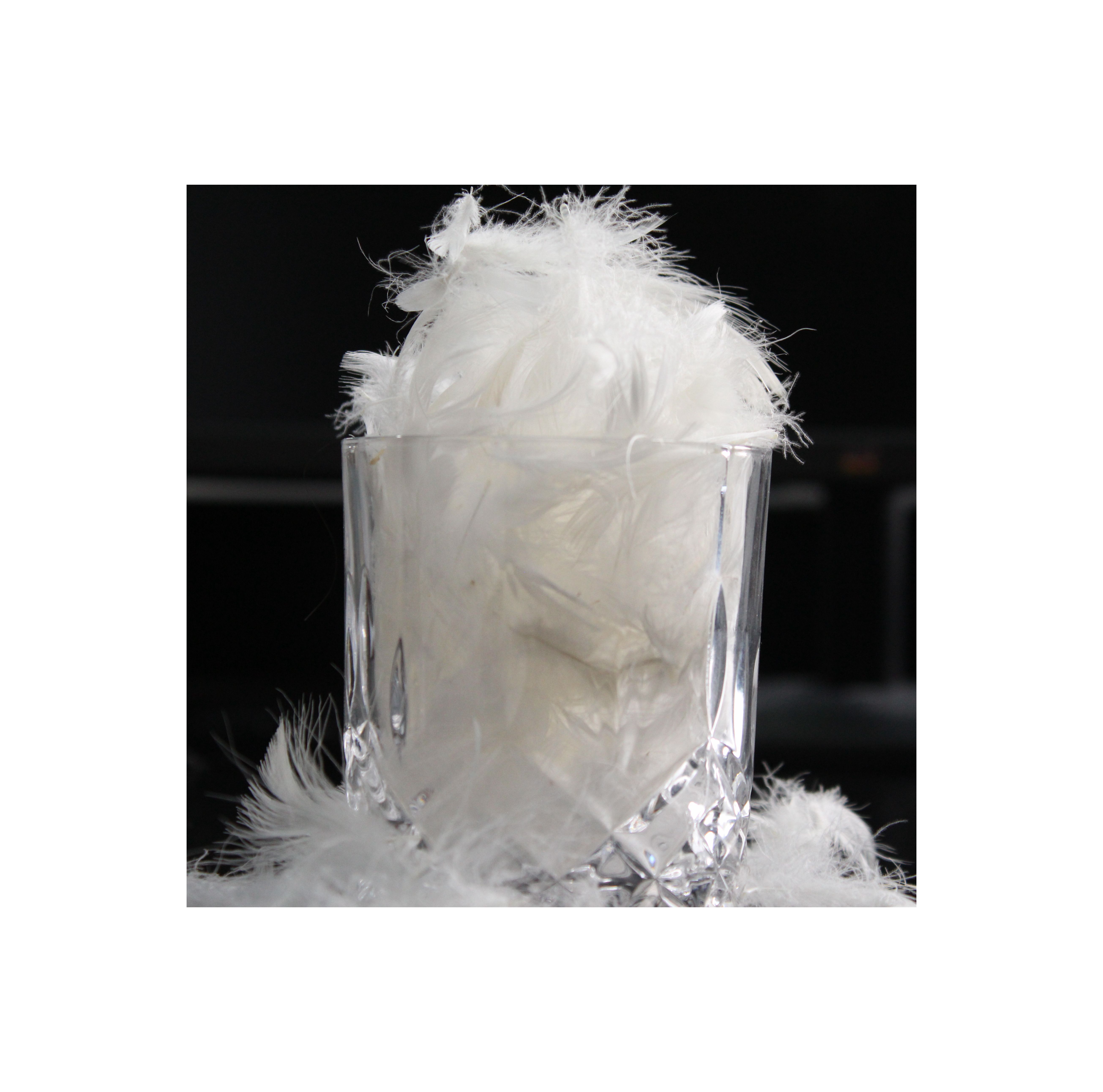 Wholesale Natural Softer White KEEP WARM Breathable Goose Down Feathers DUVIT Dry Goose Feather Goose Filling