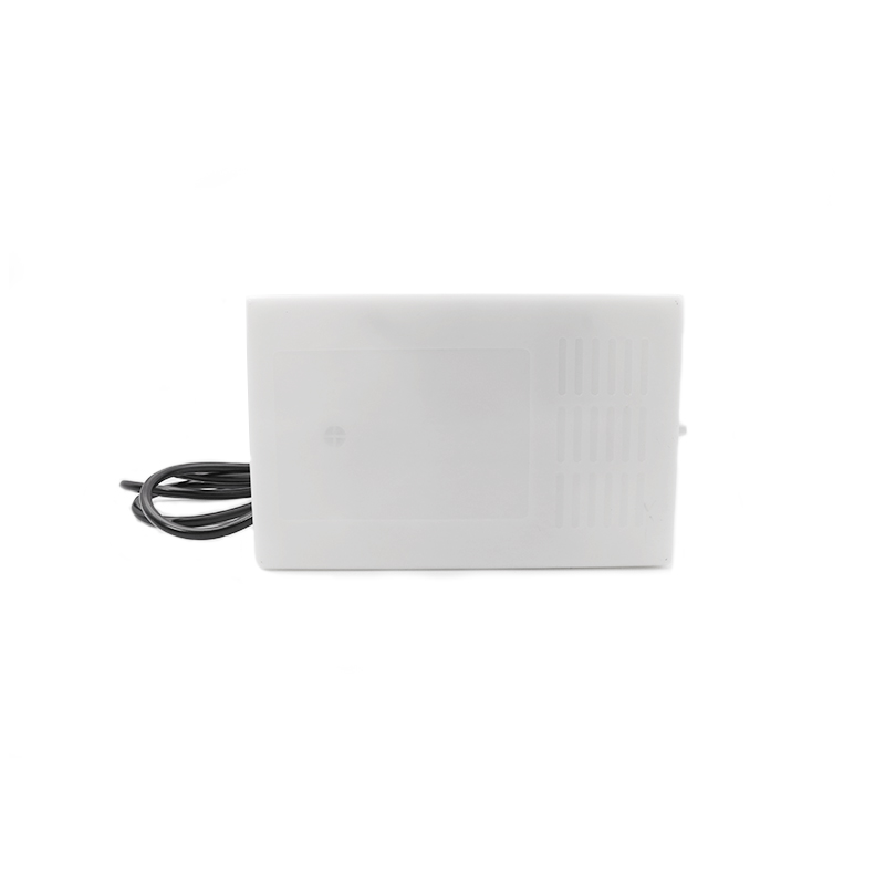 800mg/h Sihon Ozone generator with air pump used for Washing Fruits and Vegetables