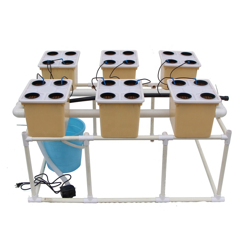 Small Size Hydroponic Dutch Bucket Vegetable Growing System Agricultural Greenhouse for Efficient Crop Production