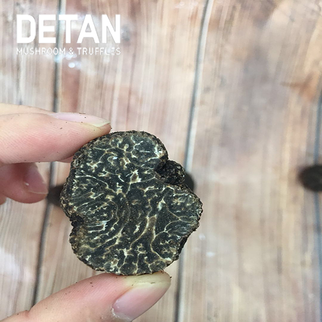 Detan дикий гриб высокое качество сильный аромат вкусный здоровый свежий черный трюфель гриб