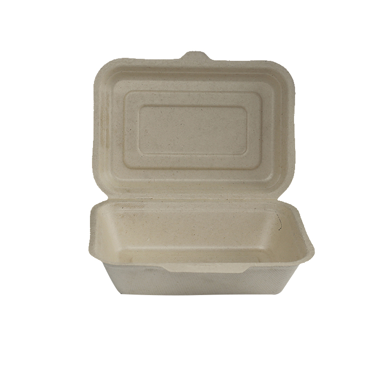 2021 Eco Disposable Sugarcane Delivery Take Away Food Container Bagasse Food Lunch Box