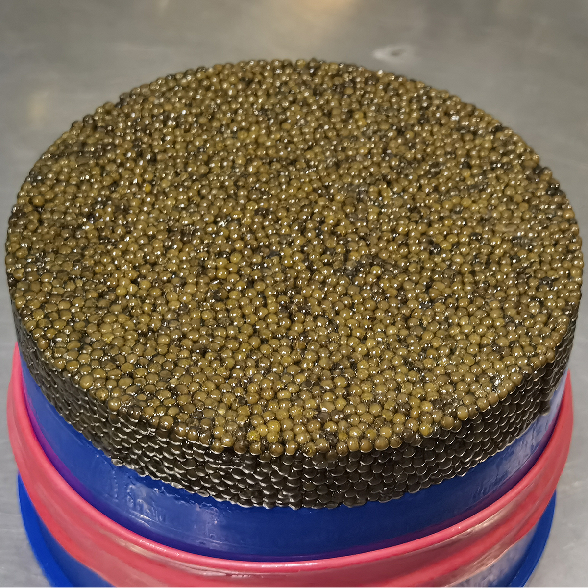 Custom Bulk Pickled Fresh Sturgeon Roe Production Premium Brown Tan Grey Kaluga Caviar