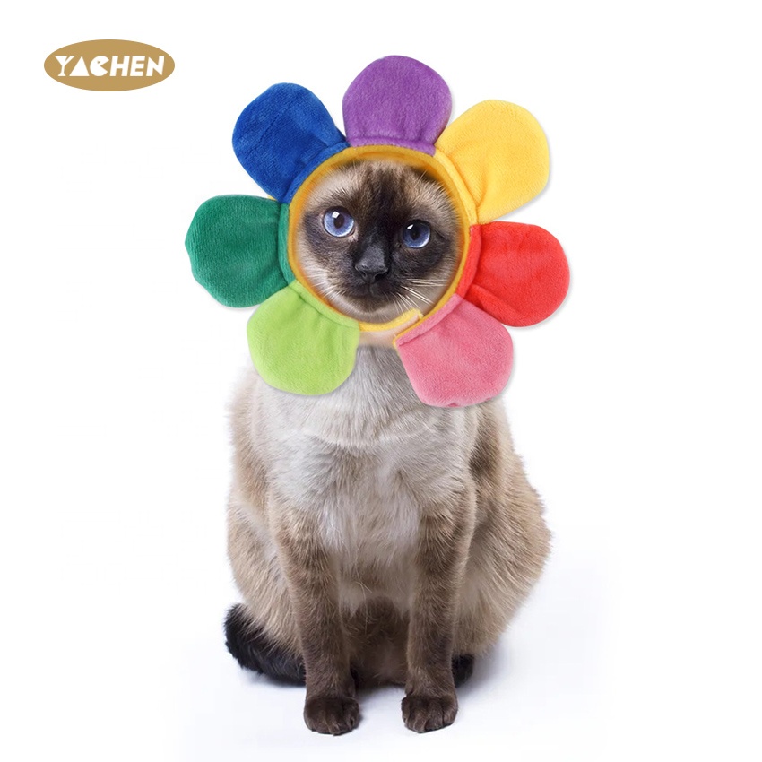 YACHEN Hot sale pet party suppliesColorful rainbow sunflower cat party decorations pet sun hats