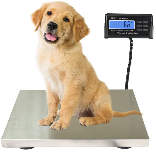 High-precision transportation scale 360 pounds, stainless steel heavy-duty postal scale, with timer/holder/tare