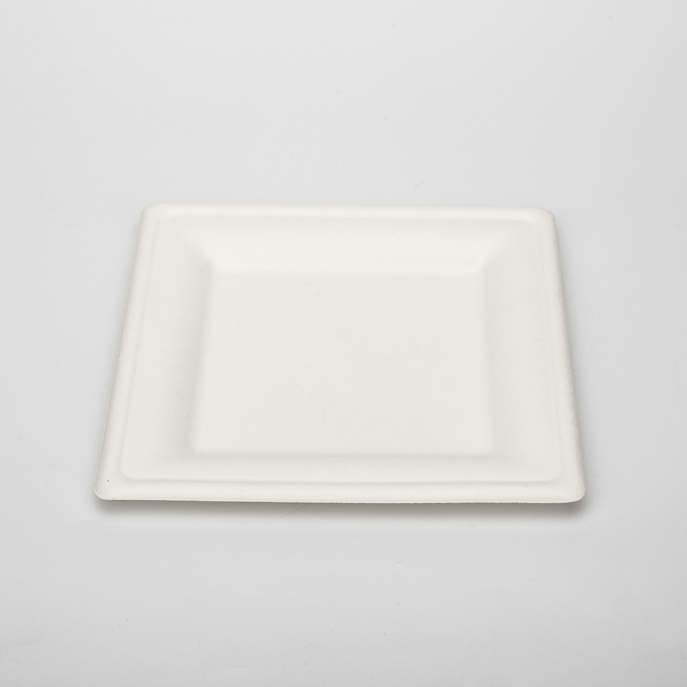 Eco Friendly Takeaway Food hold Microvable Take Out Sugarcane Bagass plate Biodegradable Disposable Rectangular Square Plate