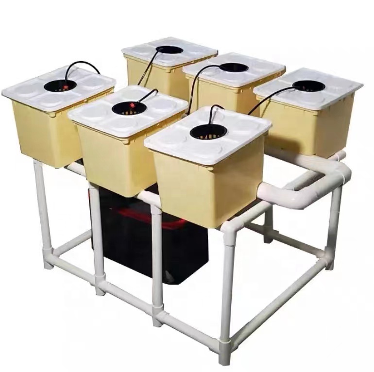 Hydroponic growing system bato bucket drip irrigation dutch bucket