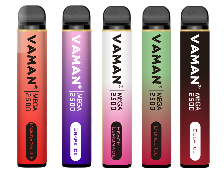 2021 Hot Sale Electronic Cigarettes Disposable Vapes Stick Pen 2500Puffs Different Flavors E-cigarettes