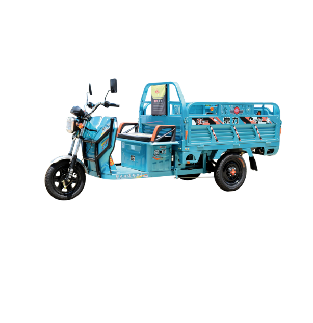 Manufacturer's Direct Sales Best-selling cargo electric tricycle