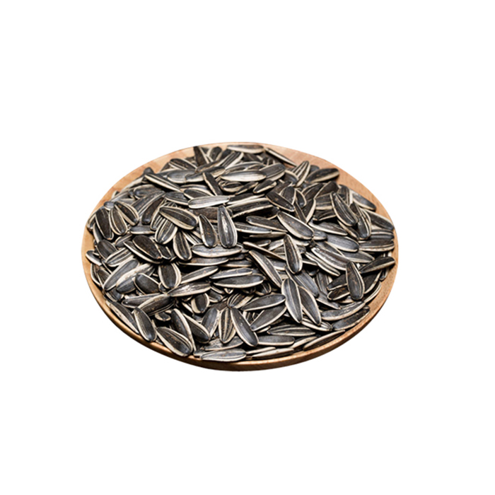 100% Fresh Argentina Sunflower Seed