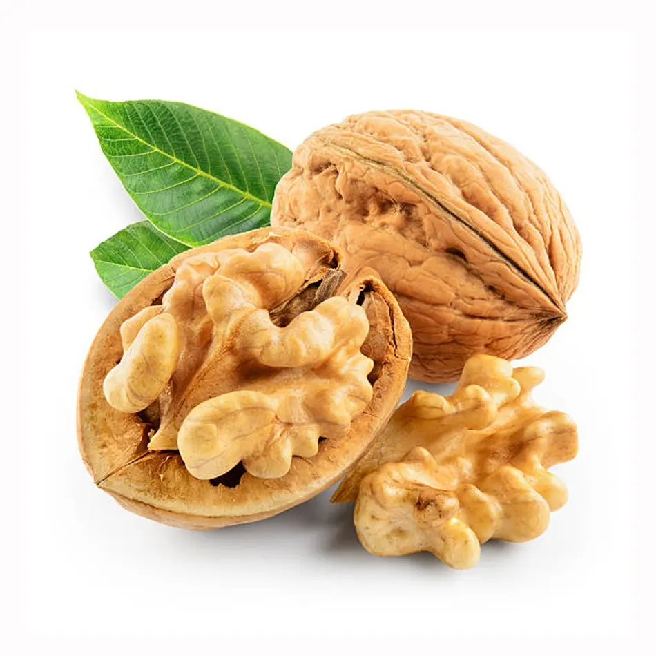 Hot sale Walnuts in shell New crop High quality Xinjiang walnuts